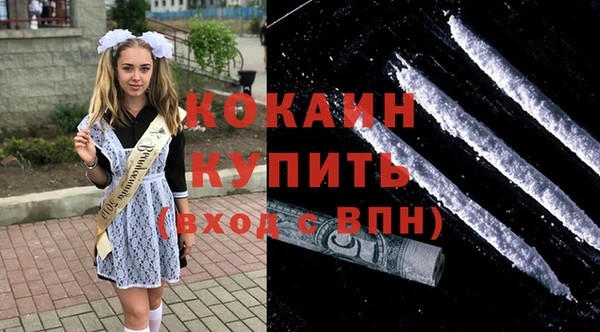 мескалин Бородино