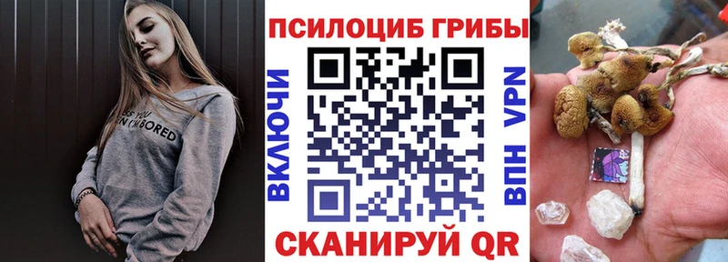 Галлюциногенные грибы Cubensis  Гаврилов-Ям 