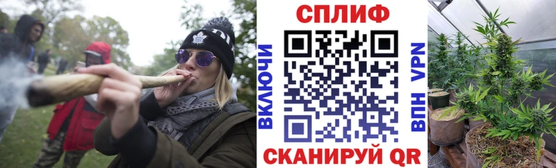 где найти   Гаврилов-Ям  МАРИХУАНА White Widow 